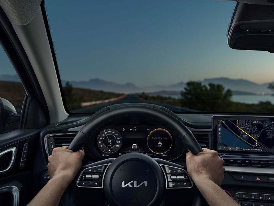 Sistem de sunet premium (tweetere + amplificator extern + difuzor central)